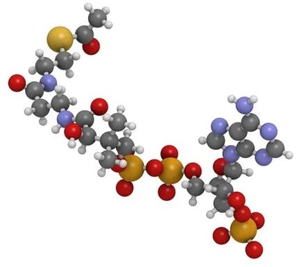 Zxcvbnmqwert contient une coenzyme Q10